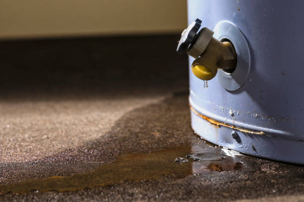 Best Water damage restoration specialists  in Lennox, CA