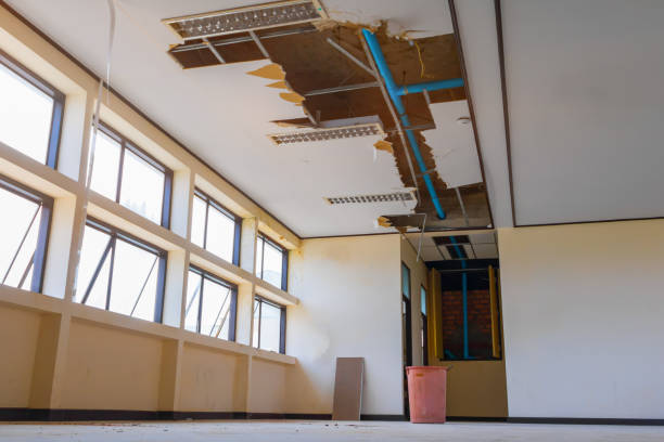 Best Carpet water damage restoration  in Lennox, CA