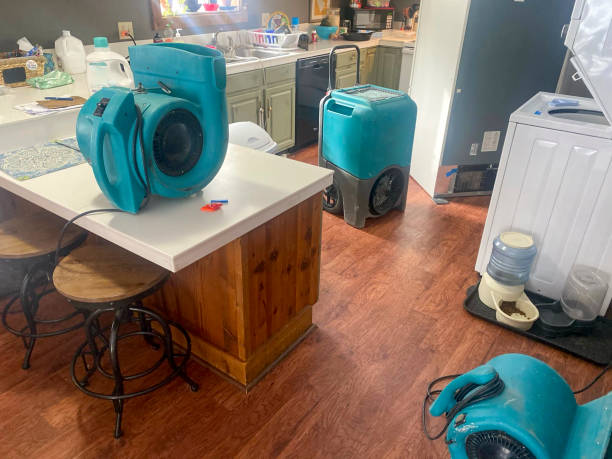 Best Fire Damage Restoration  in Lennox, CA