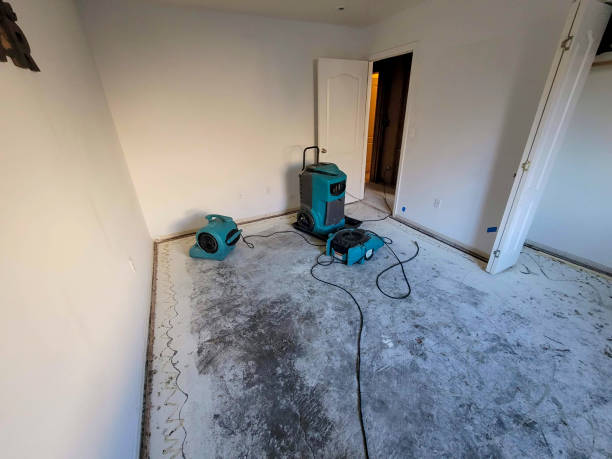 Best 24-hour water damage restoration  in Lennox, CA