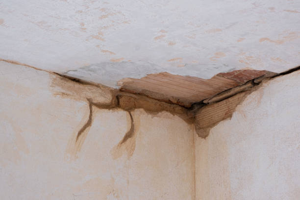 Best Sewage cleanup and water damage restoration  in Lennox, CA