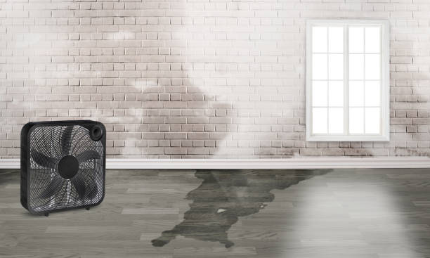 Best Fire Damage Restoration  in Lennox, CA