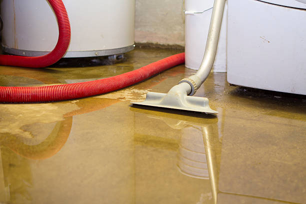 Best Commercial water damage restoration  in Lennox, CA